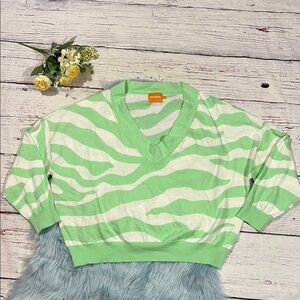 WISPR by Brodie Cashmere Green Zebra Print  V-neck Sweater